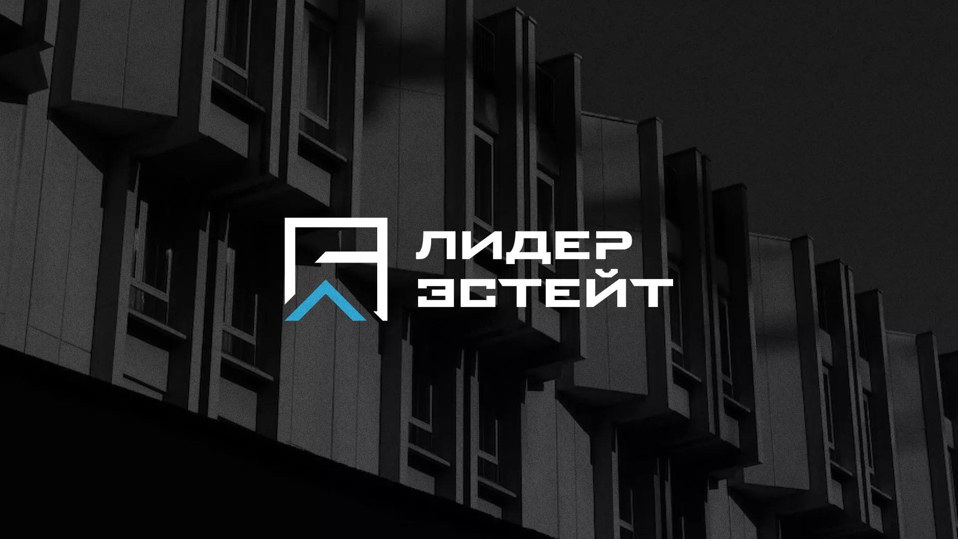 Разработка логотипа агентства недвижимости «Лидер Эстейт» в Кировграде
